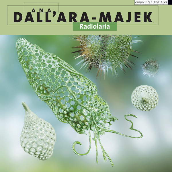 ana-dallara