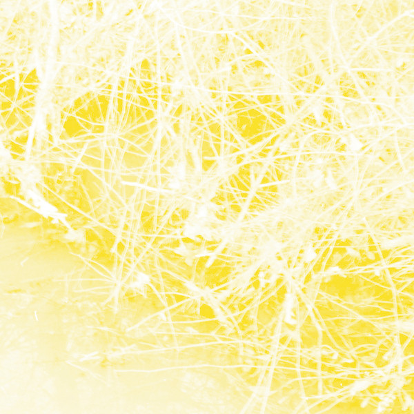 celer-cursory-asperses