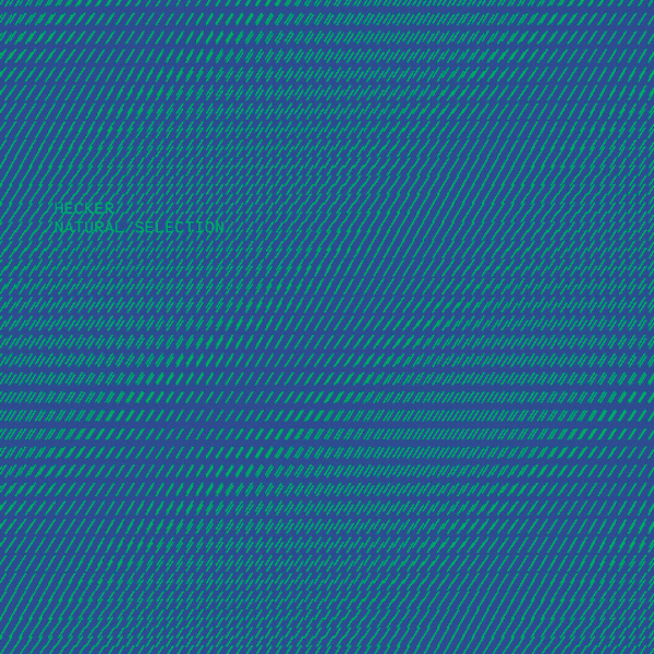 florian-hecker