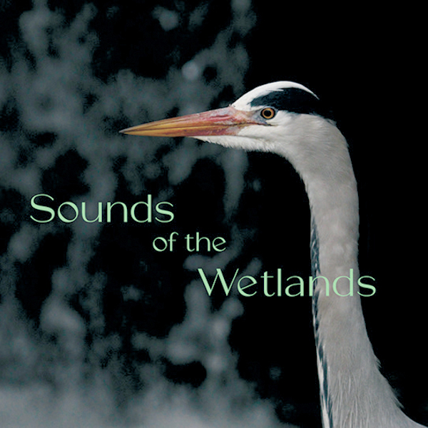 sound-of-the-wetlands